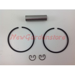 Piston cylinder segments KAWASAKI brushcutter TK 065D kc 52 030260 | NewgardenParts.com
