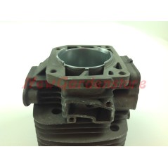 Cilindro pistone segmenti KAWASAKI motore decespugliatore TK 065D kc 52 030260 | NewgardenParts.com