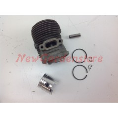 Kolben-Zylinder-Segmente KAWASAKI Heckenscherenmotor TF 22 001133 | NewgardenParts.com