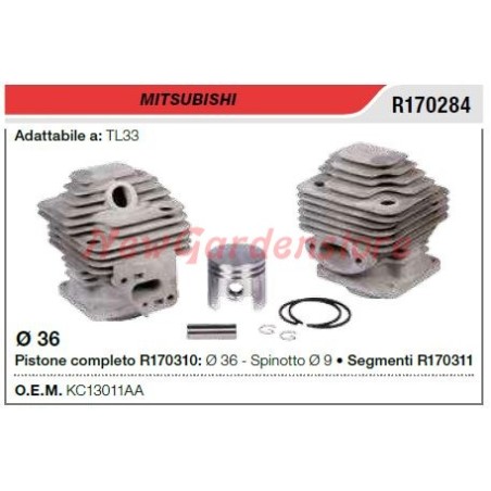 Cilindro pistone segmenti MITSUBISHI decespugliatore TL 33 R170284 | NewgardenParts.com