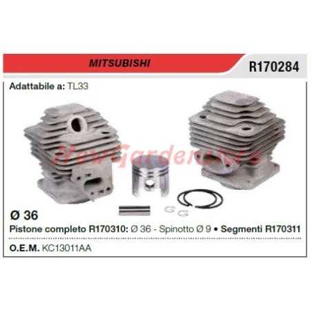 Kolben-Zylinder-Segmente MITSUBISHI Freischneider TL 33 R170284 | NewgardenParts.com