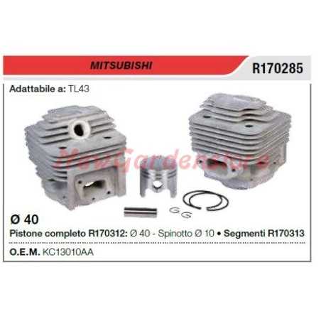 Kolben-Zylinder-Segmente MITSUBISHI Bürstenmäher TL43 R170285 | NewgardenParts.com