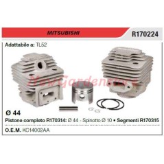 Cilindro pistone segmenti MITSUBISHI decespugliatore TL52 R170224 | NewgardenParts.com