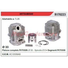 Cilindro pistone segmenti MITSUBISHI tagliasiepe TL26 R170223 | NewgardenParts.com