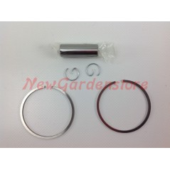 Segments de cylindre de piston Moteur de tronçonneuse PARTNER K 650 700 ACTIVE 004450 | NewgardenParts.com