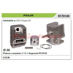 Cilindro pistone segmenti POULAN decespugliatore 250 super 25 R170149 | NewgardenParts.com