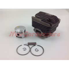 Kolben-Zylinder-Segmente PROGREEN Freischneider PG 52D 030770 | NewgardenParts.com