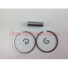 Segments de cylindre PROGREEN débroussailleuse PG 52D 030770 | NewgardenParts.com