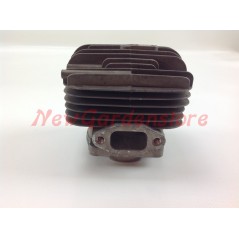 Kolben-Zylinder-Segmente PROGREEN Freischneider PG 52D 030770 | NewgardenParts.com