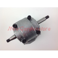Piston cylinder segments PROGREEN chainsaw engine PG 3612 030870 | NewgardenParts.com