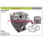 Piston cylinder segments PROGREEN chainsaw engine PG 6020 029670