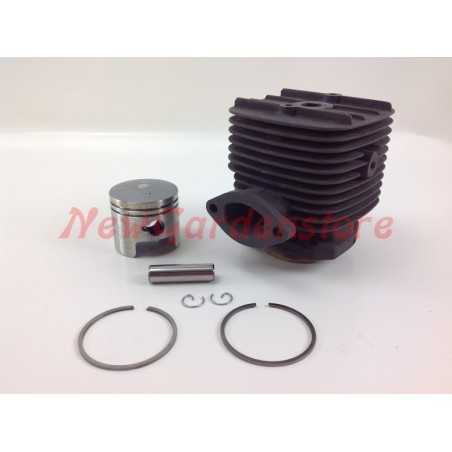Piston cylinder segments ROBIN brushcutter engine EC 08 016942 | NewgardenParts.com