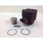Kolben-Zylinder-Segmente ROBIN Freischneider Motor EC 08 016942