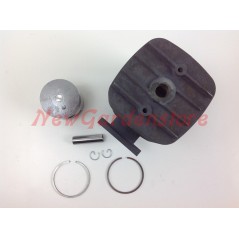 Kolben-Zylinder-Segmente ROBIN Freischneider Motor EC 08 016942 | NewgardenParts.com