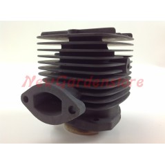 Kolben-Zylinder-Segmente ROBIN Freischneider Motor EC 08 016942 | NewgardenParts.com