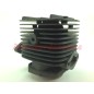Kolben-Zylinder-Segmente ROBIN Freischneider Motor EC 08 016942