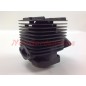 Kolben-Zylinder-Segmente ROBIN Freischneider Motor EC 08 016942