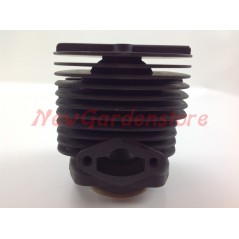Kolben-Zylinder-Segmente ROBIN Freischneider Motor EC 08 016942 | NewgardenParts.com