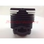 Kolben-Zylinder-Segmente ROBIN Freischneider Motor EC 08 016942