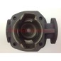 Kolben-Zylinder-Segmente ROBIN Freischneider Motor EC 08 016942
