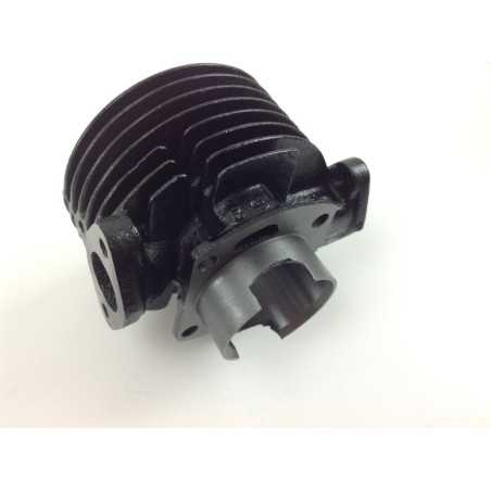 Piston cylinder segments ROBIN brushcutter EC 10 engine 012995 | NewgardenParts.com