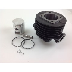 Piston cylinder segments ROBIN brushcutter EC 10 engine 012995 | NewgardenParts.com