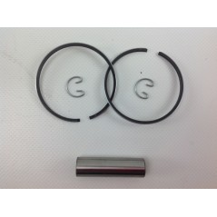 Piston cylinder segments ROBIN brushcutter EC 10 engine 012995 | NewgardenParts.com