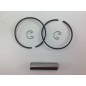Segments de cylindre à piston ROBIN débroussailleuse EC 10 moteur 012995