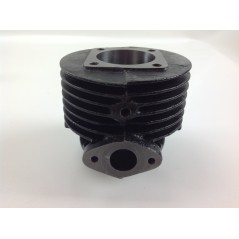 Piston cylinder segments ROBIN brushcutter EC 10 engine 012995 | NewgardenParts.com