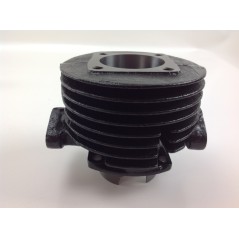 Segments de cylindre à piston ROBIN débroussailleuse EC 10 moteur 012995 | NewgardenParts.com