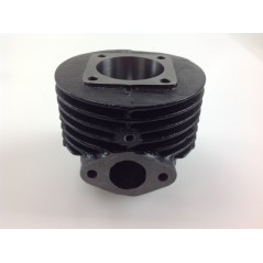 Piston cylinder segments ROBIN brushcutter EC 10 engine 012995 | NewgardenParts.com
