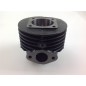 Segments de cylindre à piston ROBIN débroussailleuse EC 10 moteur 012995