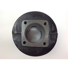 Segments de cylindre à piston ROBIN débroussailleuse EC 10 moteur 012995 | NewgardenParts.com