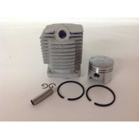 Segmentos de cilindro de pistón desbrozadora ROBIN NB 500 017969 | NewgardenParts.com