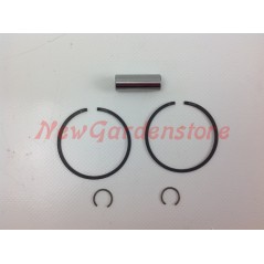 Kolben-Kolben-Zylindersegmente STIHL Freischneider-Motor FS 480 FR 480 014465 | NewgardenParts.com