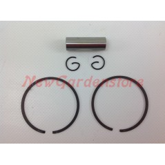 Piston cylinder segments STIHL chainsaw engine MS 361 016819 | NewgardenParts.com