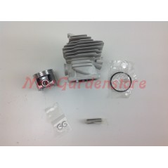 Piston cylinder segments STIHL chainsaw engine MS 461 046646 | NewgardenParts.com