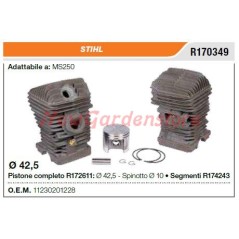 Piston cylinder segments STIHL chainsaw MS250 R170349 | NewgardenParts.com