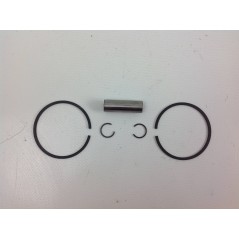 Segments de cylindre STIHL MS261 R170372 | NewgardenParts.com