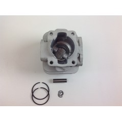 Segments de cylindre à pistons pour débroussailleuse TAS BG 328 moteur ZAINO 017967 | NewgardenParts.com