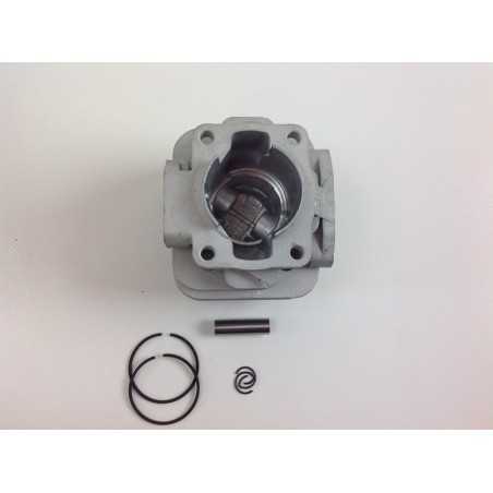 Piston cylinder segments TAS brushcutter BG 328 ZAINO engine 017967 | NewgardenParts.com