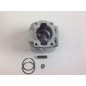 Segmentos de cilindro de pistón Desbrozadora TAS BG 328 Motor ZAINO 017967