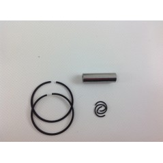Piston cylinder segments TAS brushcutter BG 328 ZAINO engine 017967