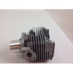 Segments de cylindre à pistons pour débroussailleuse TAS BG 328 moteur ZAINO 017967 | NewgardenParts.com