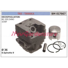 Segments de cylindre à pistons pour débroussailleuse TAS BG 328 moteur ZAINO 017967 | NewgardenParts.com