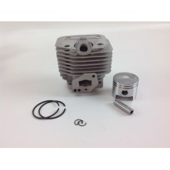 Piston cylinder segments TAS brushcutter engine TBC 355 SUM 351 016921 | NewgardenParts.com