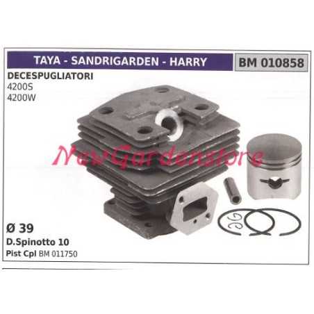 Kolben-Zylinder-Segmente TAYA Bürstenmäher Motor 4200S 4200W 010858 | NewgardenParts.com