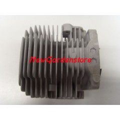 Kolbenzylindersegmente TH43 Freischneider KAWASAKI 11005-2122 | NewgardenParts.com