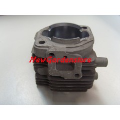 Cylindre de fraise HT26 27SP126 BV126 ORIGINAL 61070072 | NewgardenParts.com