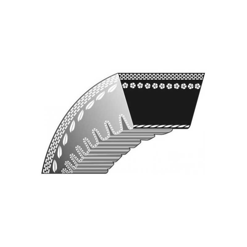 Courroie dentée intérieure ROQUES ET LECOEUR pour scarificateur CASSINI K306030047